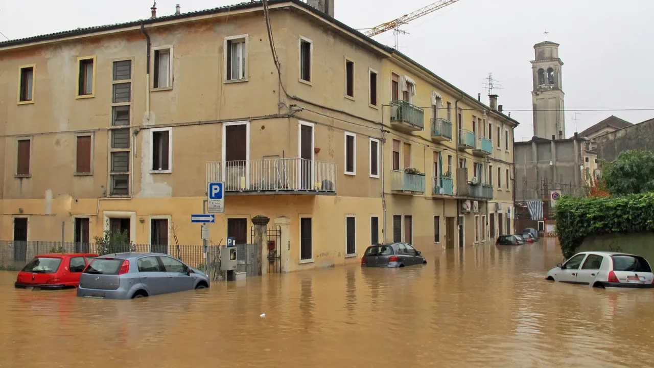 cars in the streets and roads submerged by the mud