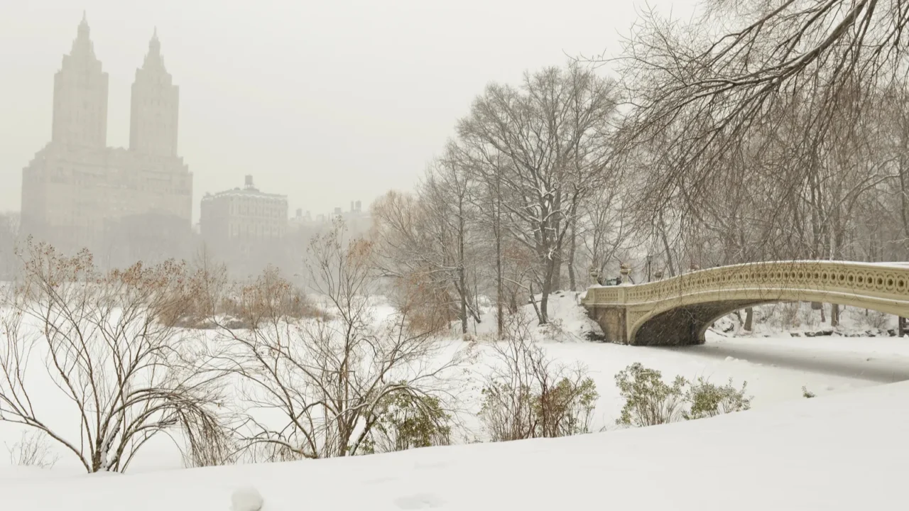 central park in the snow manhattan new york city