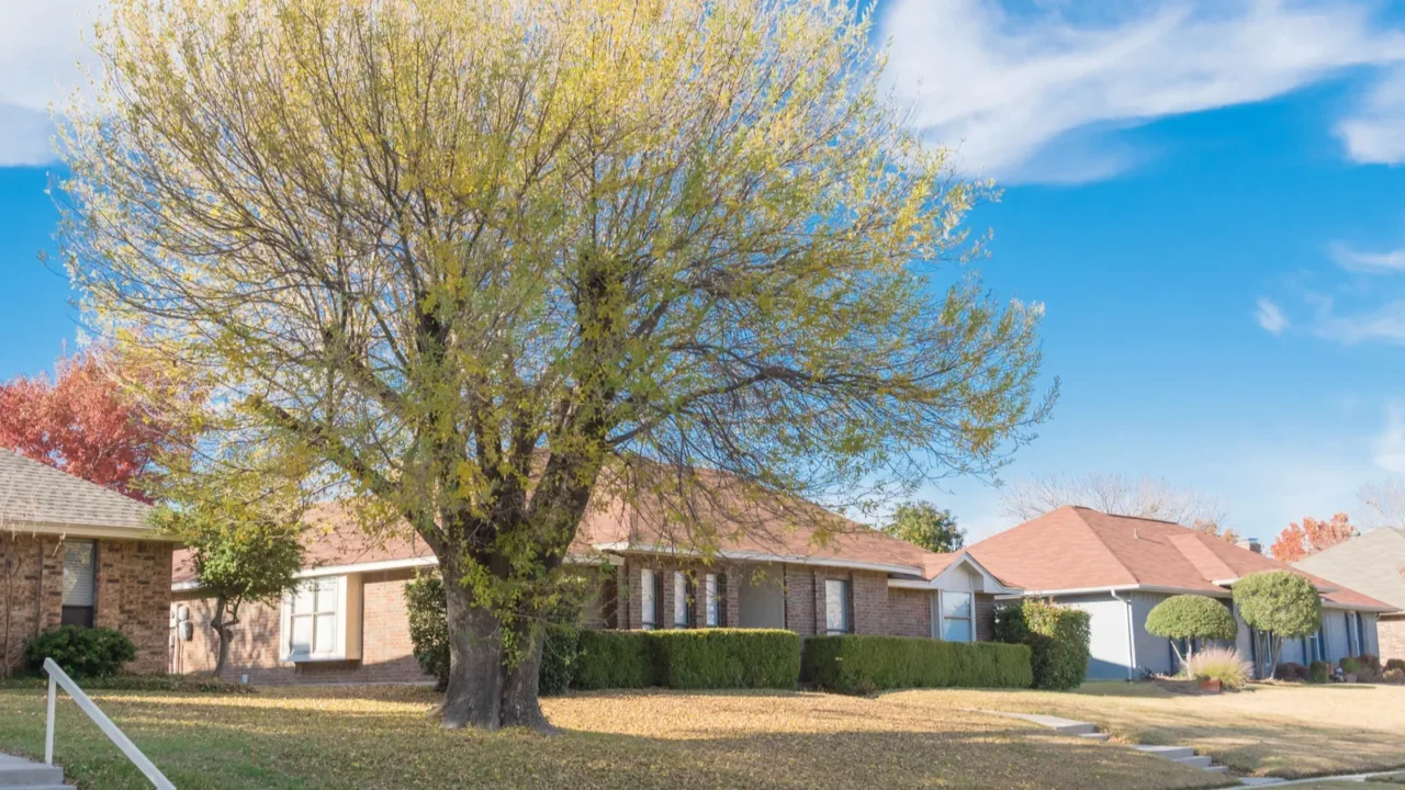dallas suburbs bungalow style houses with elevated walkway and handrails