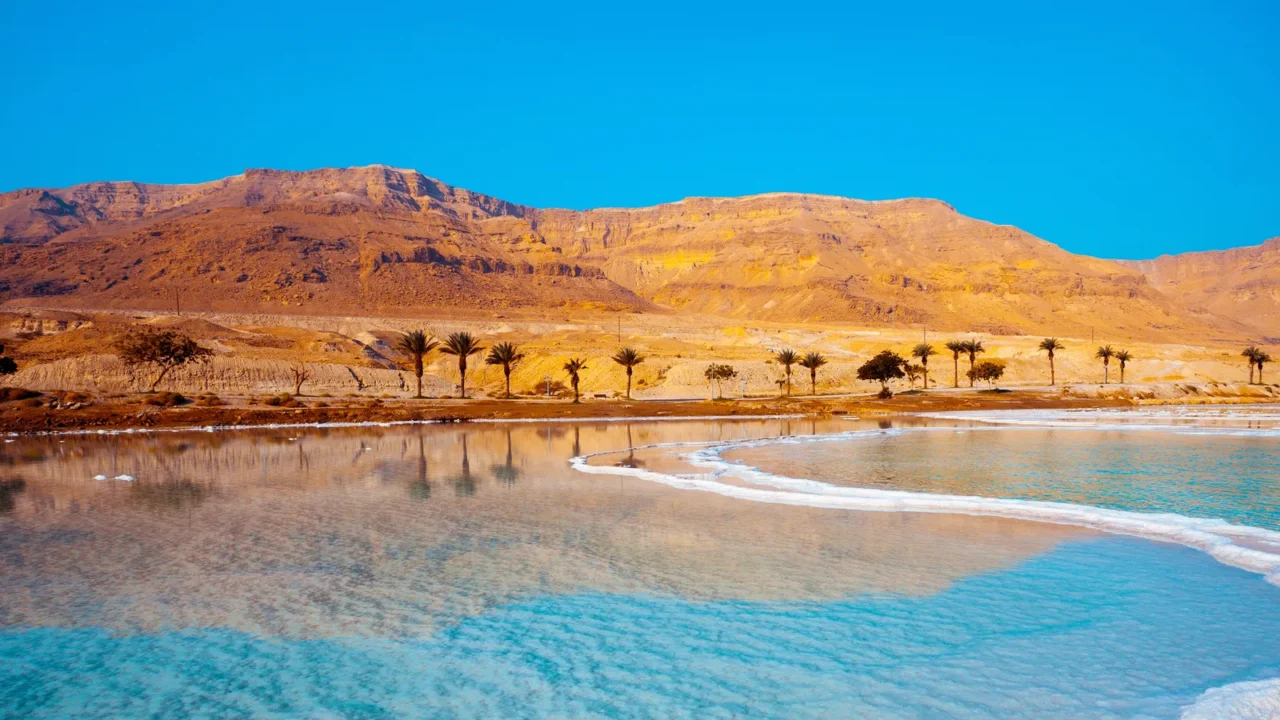 dead sea seashore