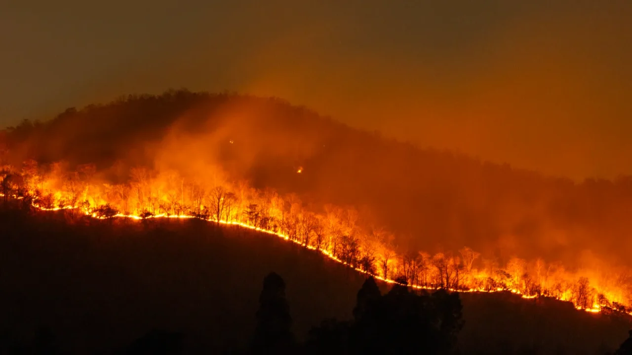 fires burned in a straight line along the hillside at