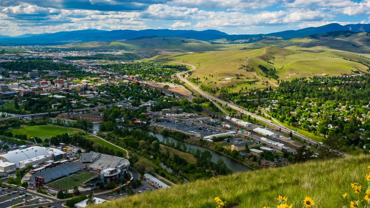 flowers and view of missoula from mount sentinel in missoula
