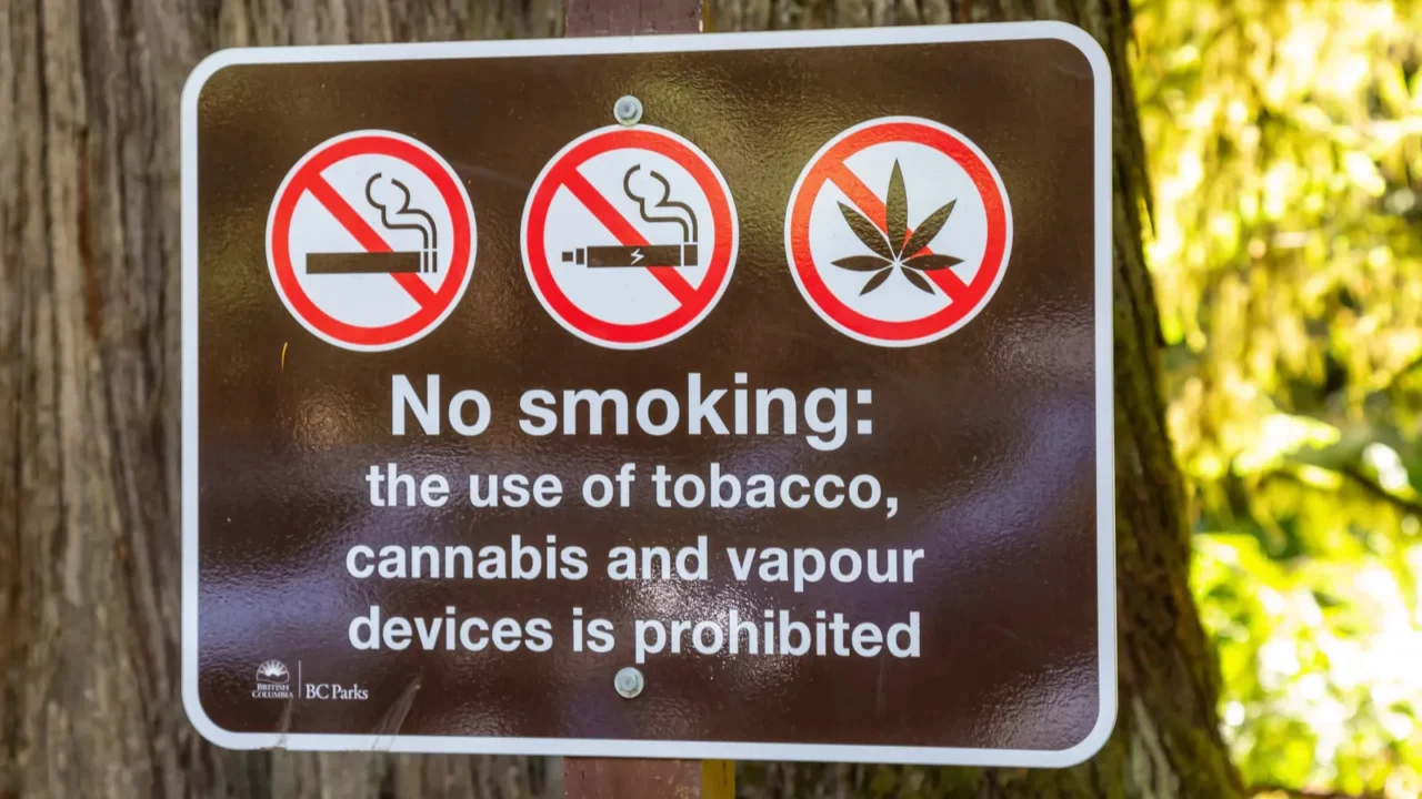 macmillan provincial park vancouver island british columbia canada  july