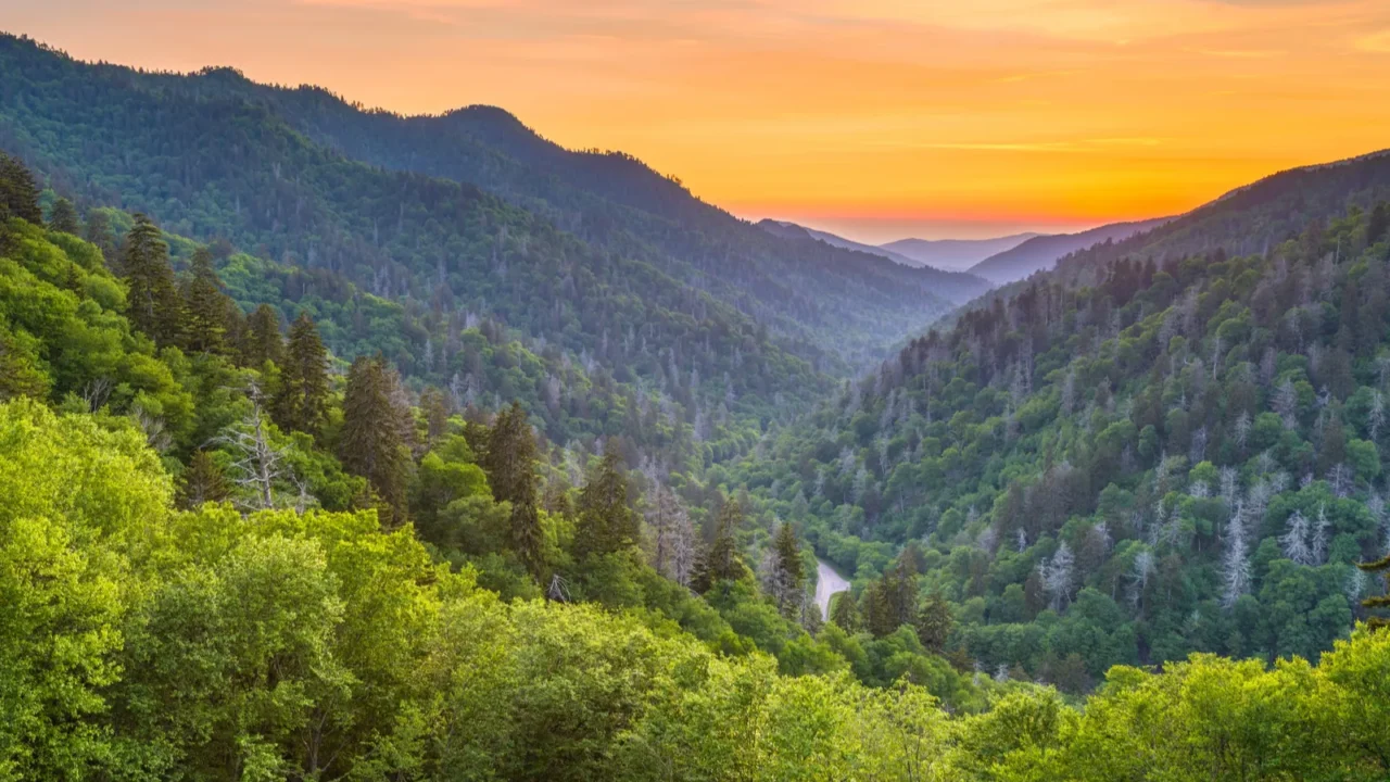 newfound gap smoky mountains