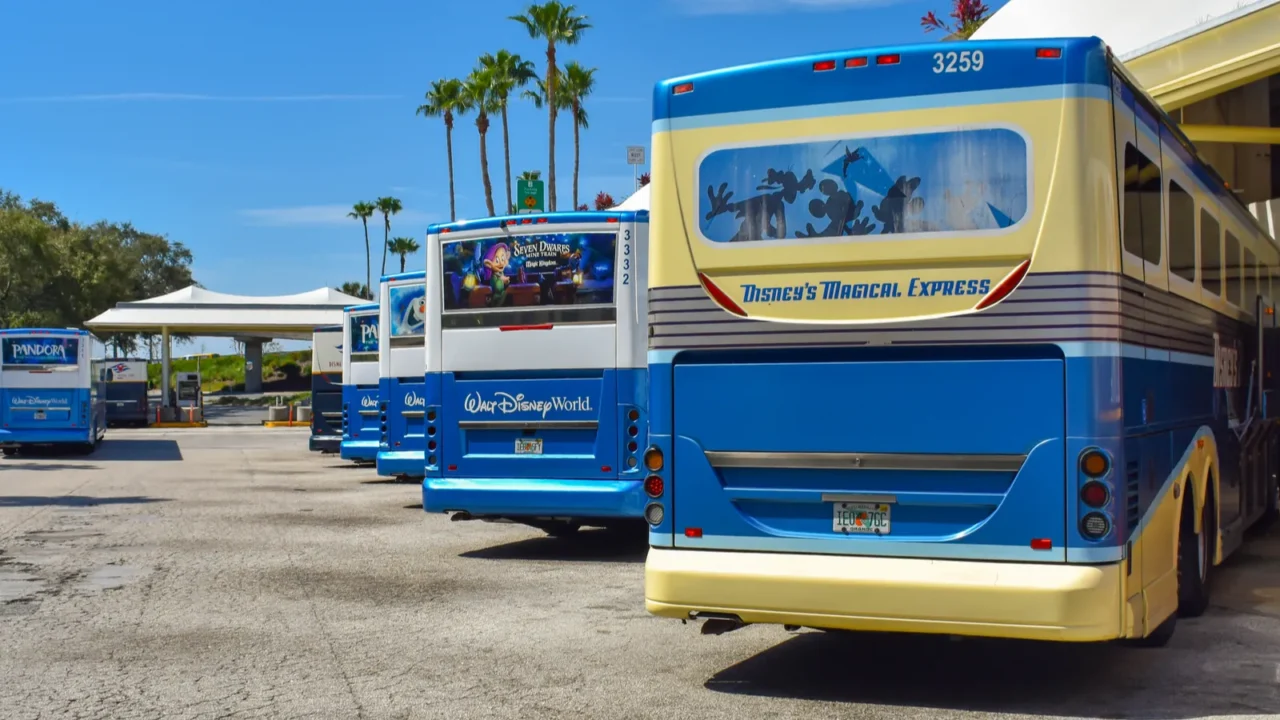 orlando florida march 01 2019disney buses lined up in terminal