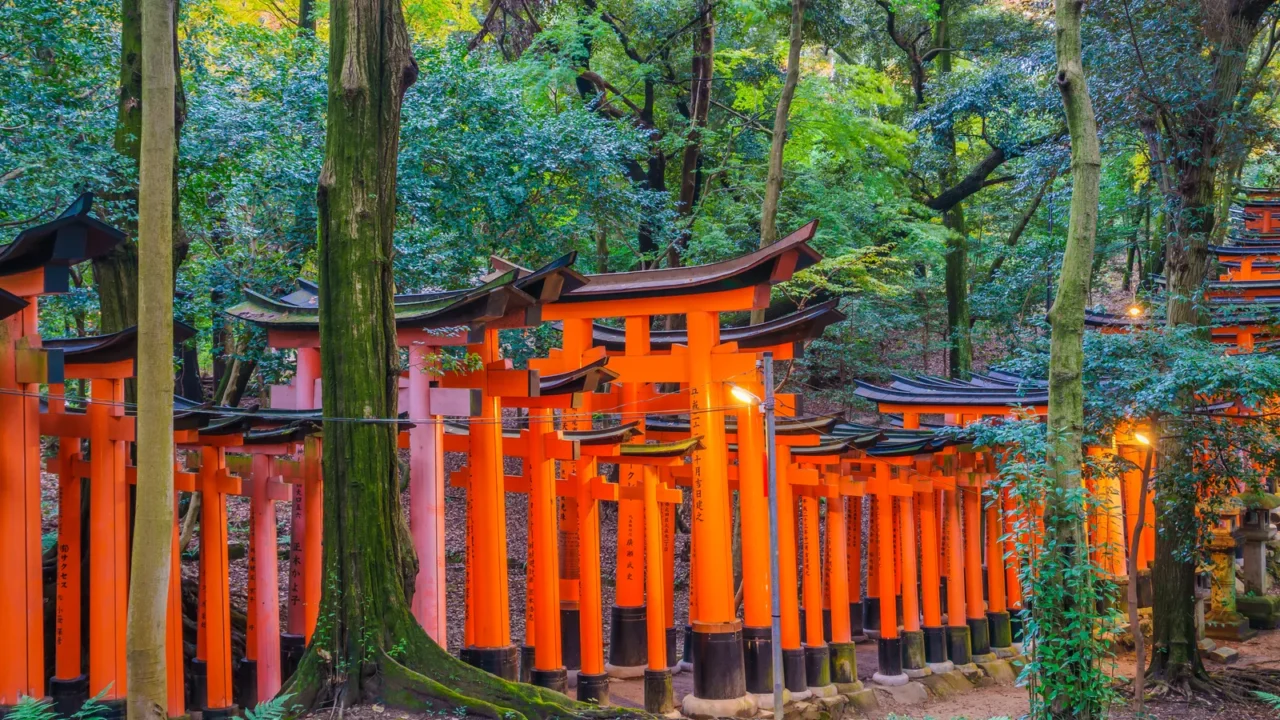 red tori gate at fushimi inari shrine temple in kyoto