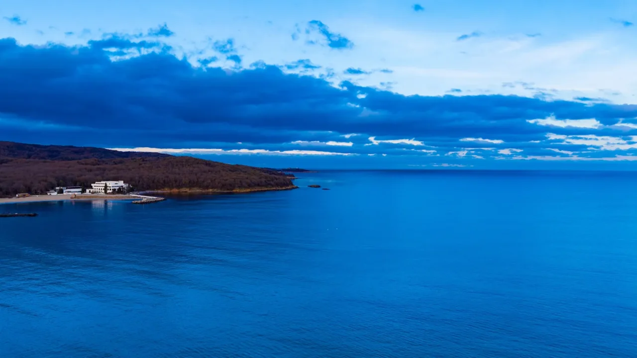 scene shows calm blue water meeting sandy shore with a