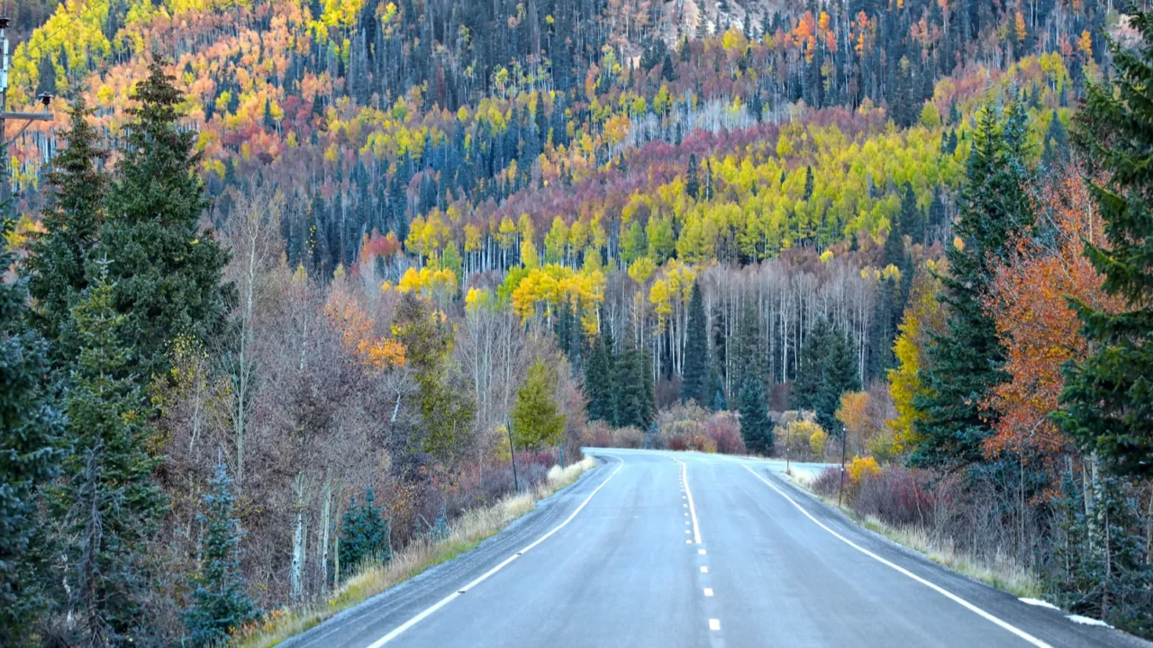 scenic route near ourey colorado in autumn time