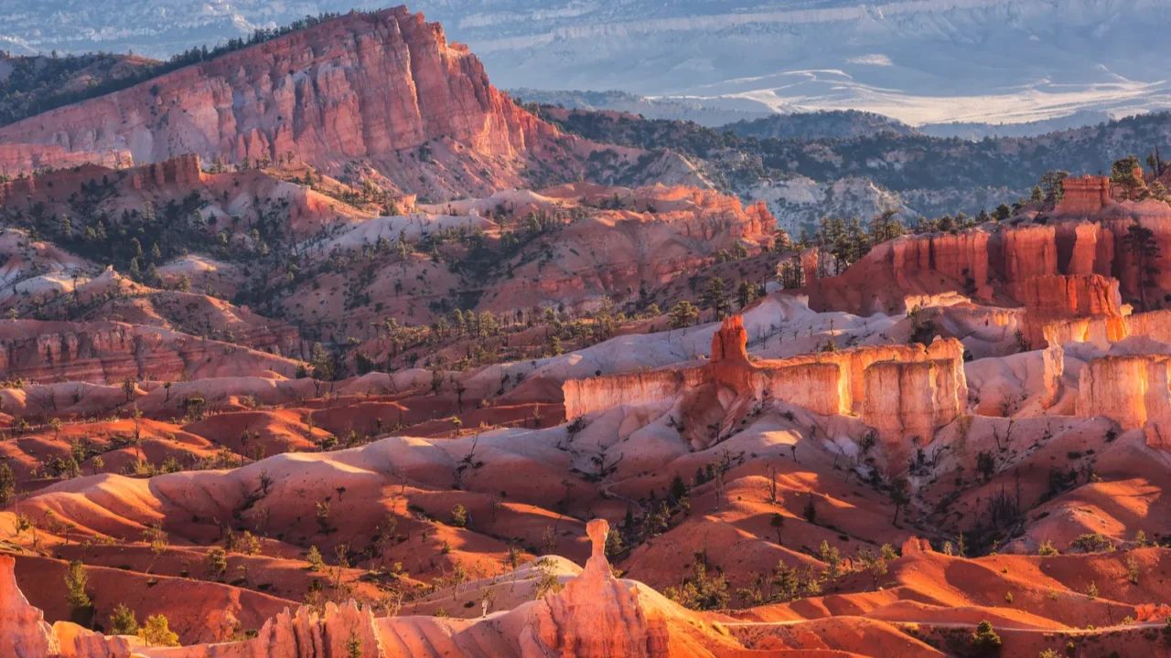 scenic view of red sandstone hoodoos in bryce canyon national