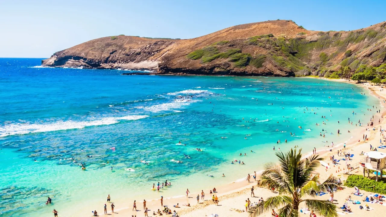 snorkeling paradise hanauma bay oahu hawaii