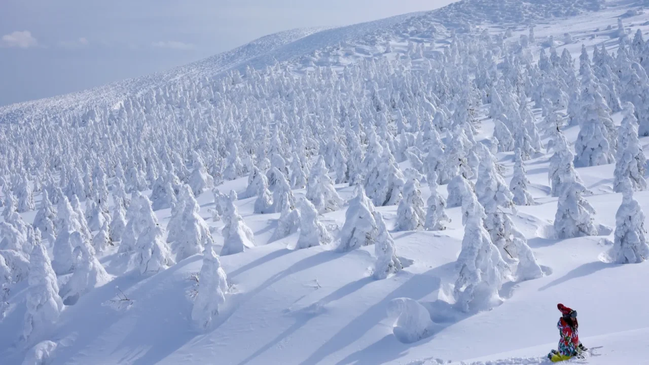 snow monsters of mtzao in yamagata japan zao is one