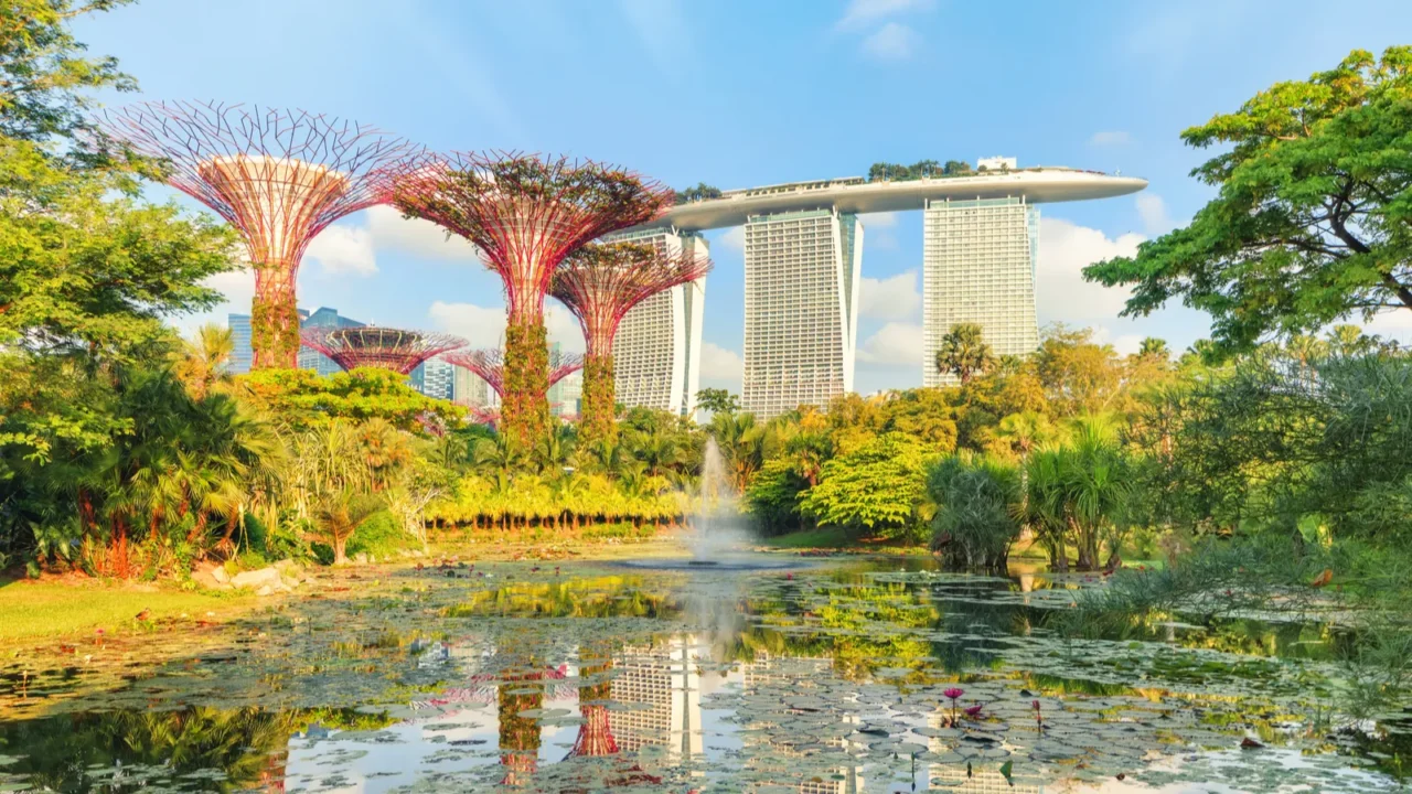 supertree grove at sunrise
