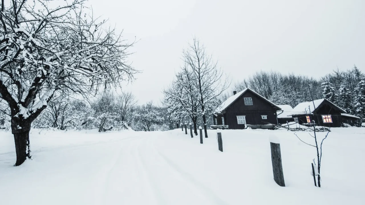 trees covered with white snow and wooden houses in carpathian