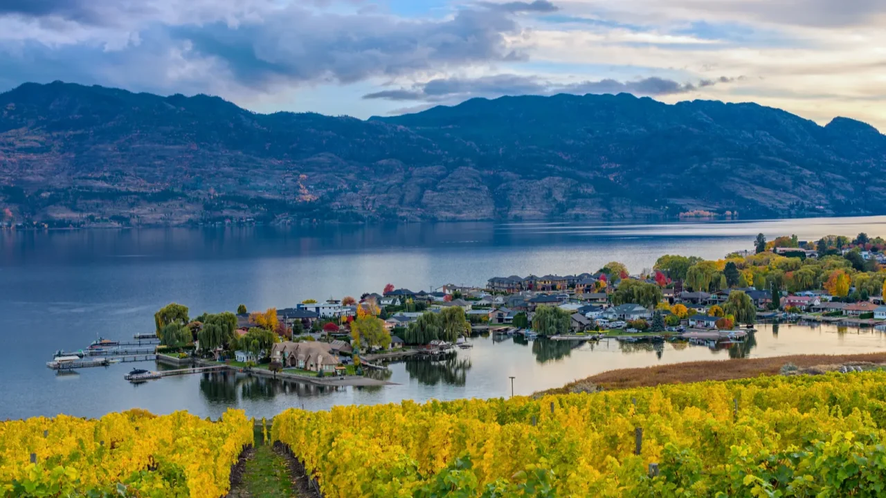 vineyard overlooking okanagan lake kelowna bc canada