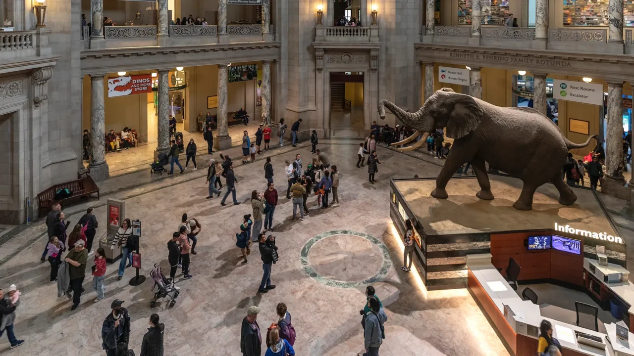 washington dc  november 29 2024 inside the rotunda of