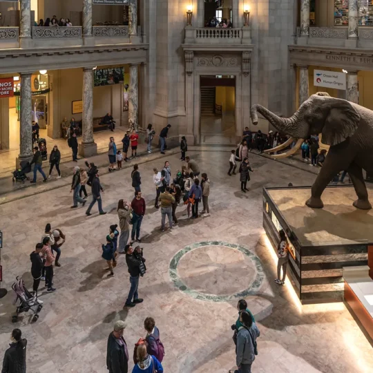 Why Washington, D.C. is becoming more seasonal for leisure travelers