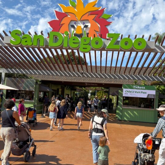 Why domestic travel in the U.S. is becoming more expensive than international trips