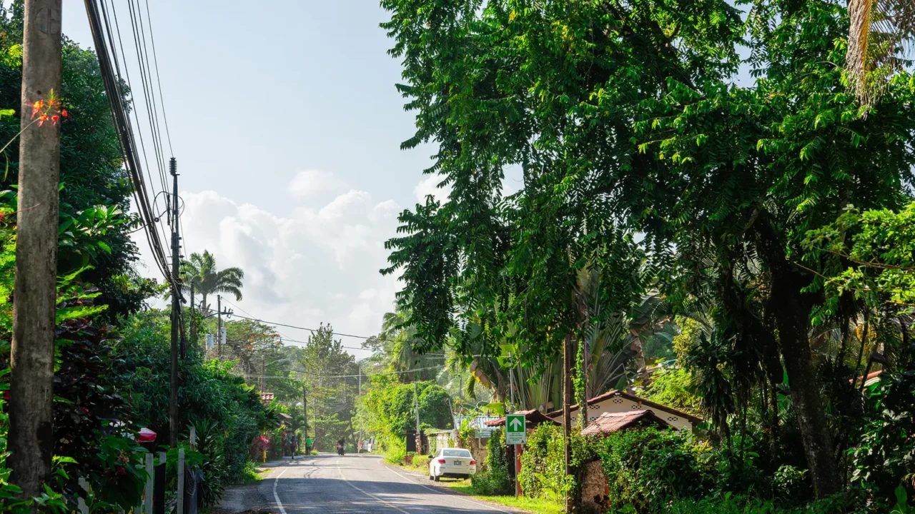 beautiful view of cahuita costa rica caribbean coast