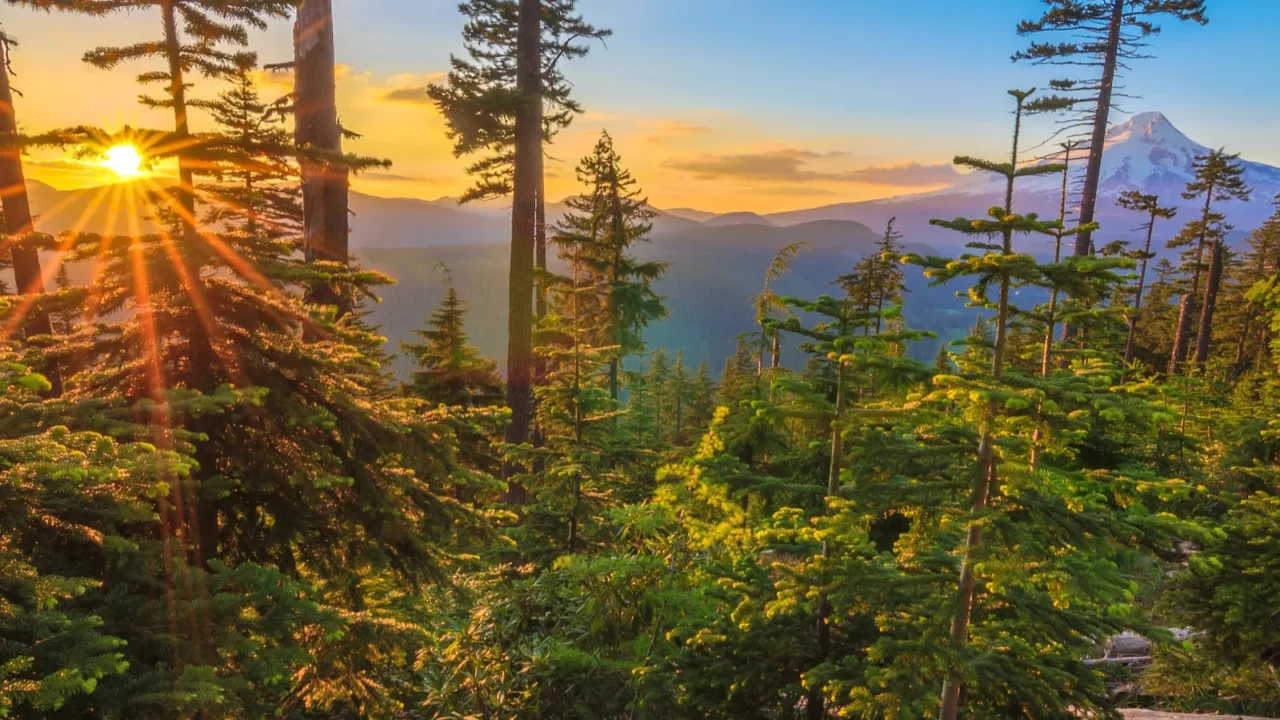 beautiful vista of mount hood in oregon usa