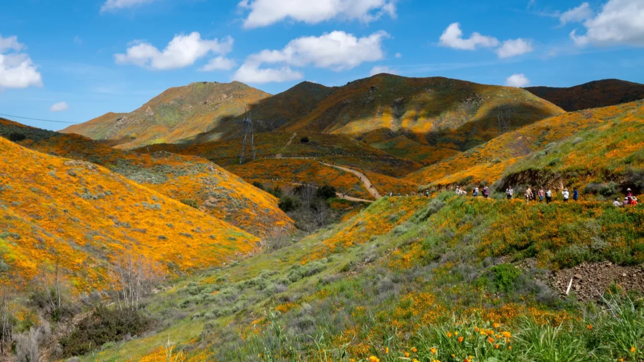 crowds along the trail at walker canyon in california during