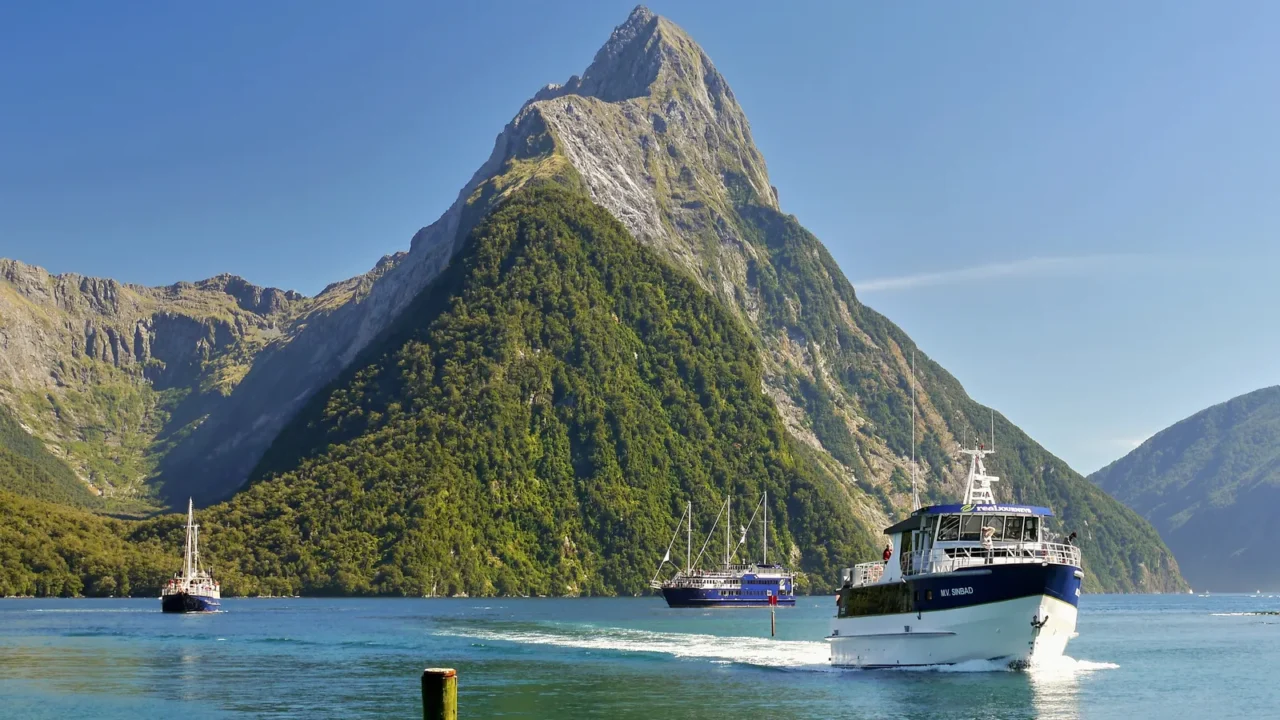 cruise ships in the bay