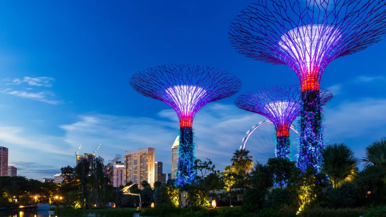 dusk over the supertrees in garden by the bay before