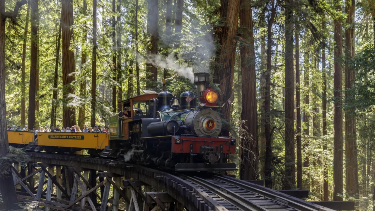 felton california august 31 2019 roaring camp dixiana