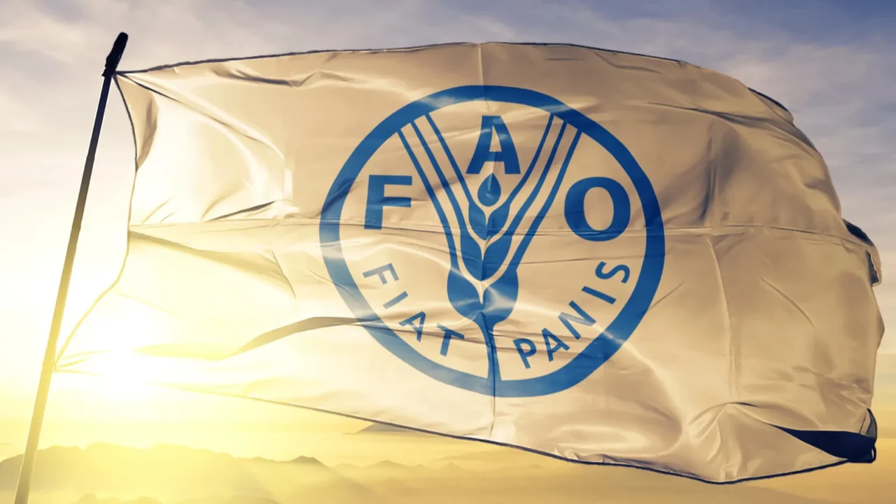food and agriculture organization of the united nations fao flag