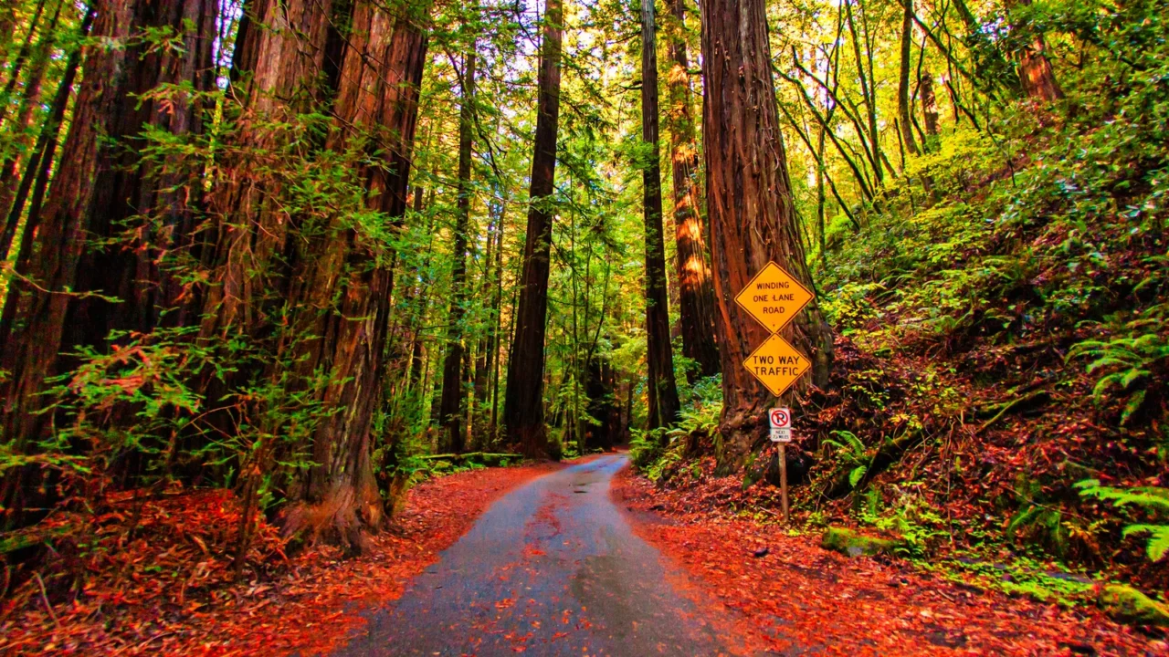 guerneville united states november 12 2011 a road