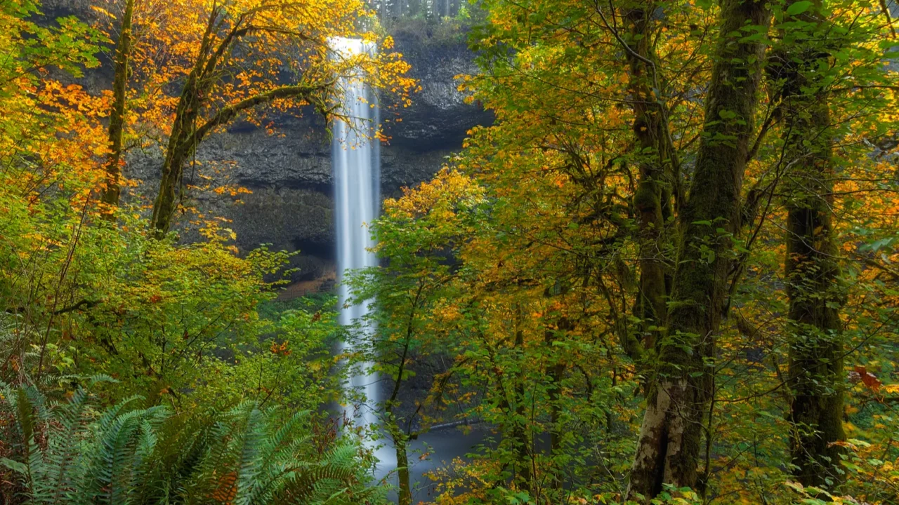 leaf peeping and waterfall