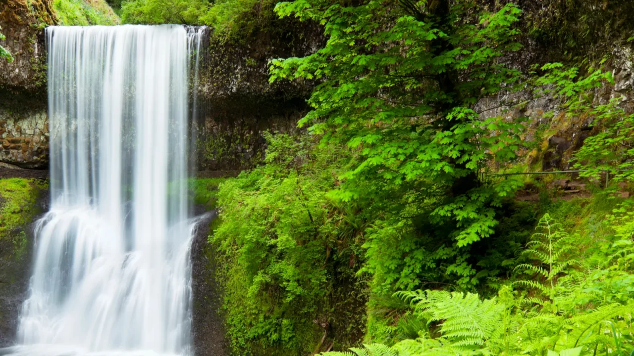 lower south falls silver falls state park oregon usa
