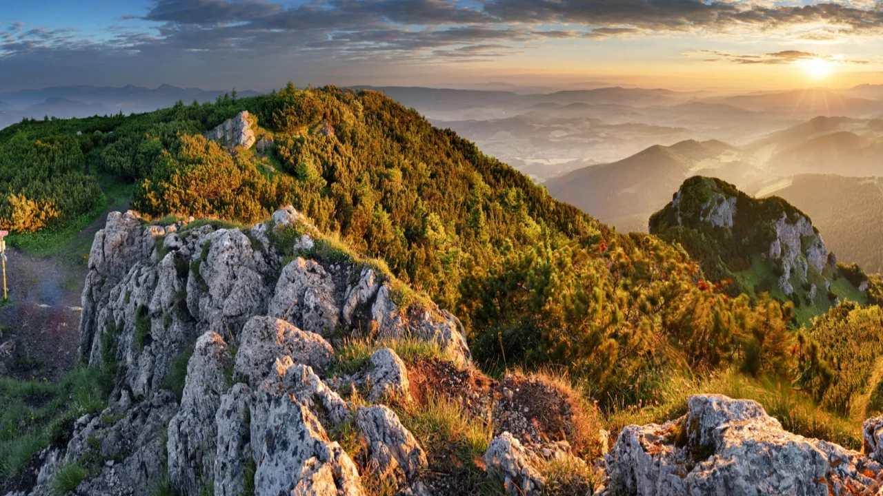 mountain forest landscape under evening sky with clouds in sunlight