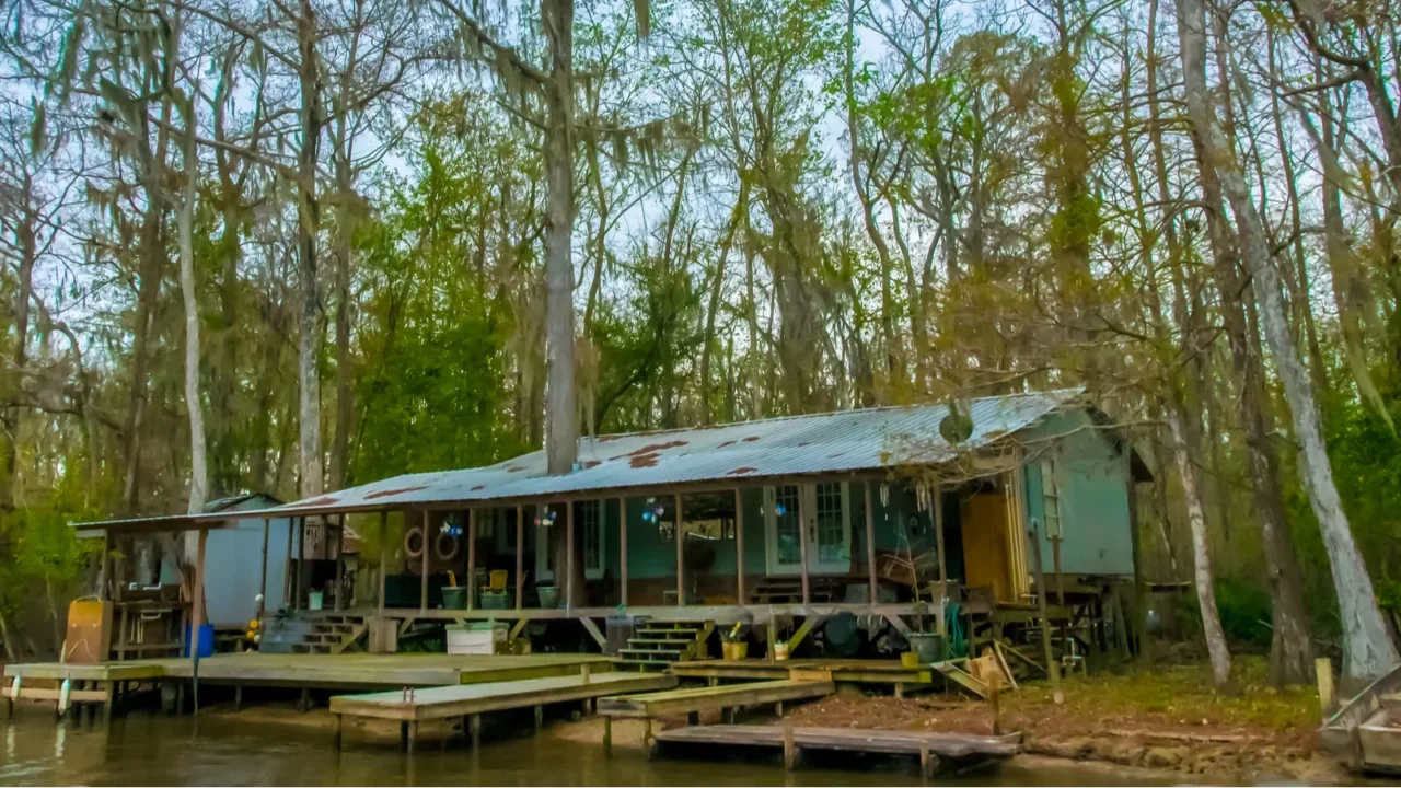 new orleans louisiana november 27 2011 buildings and honey