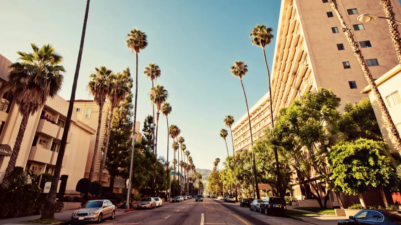 palm streets of beverly hills