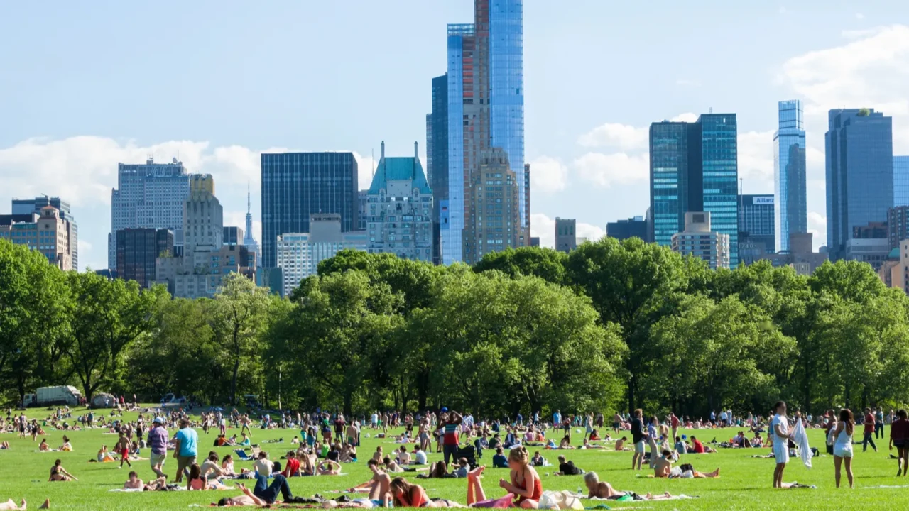 people resting in central park  new york  usa