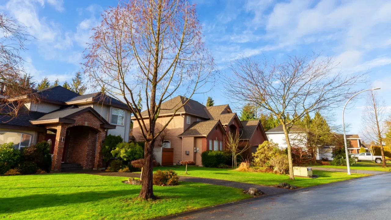 residential suburban neighborhood in the city during a vibrant winter