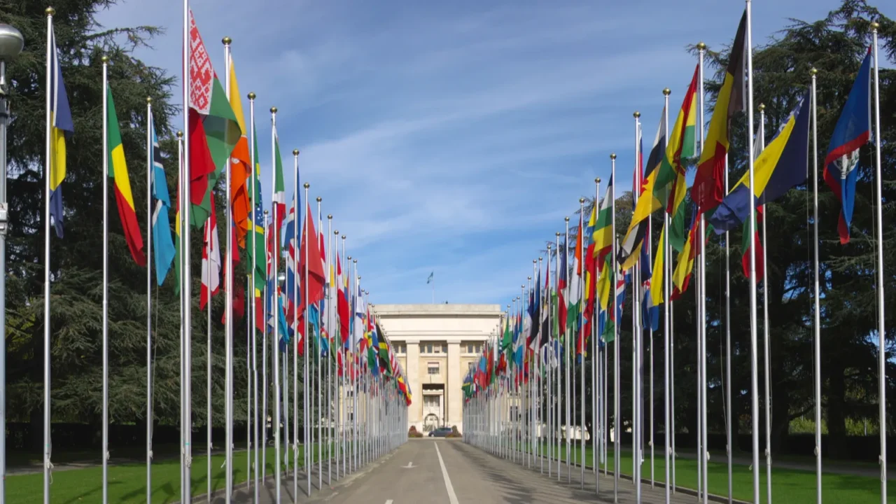rows of flags at un entry in geneva
