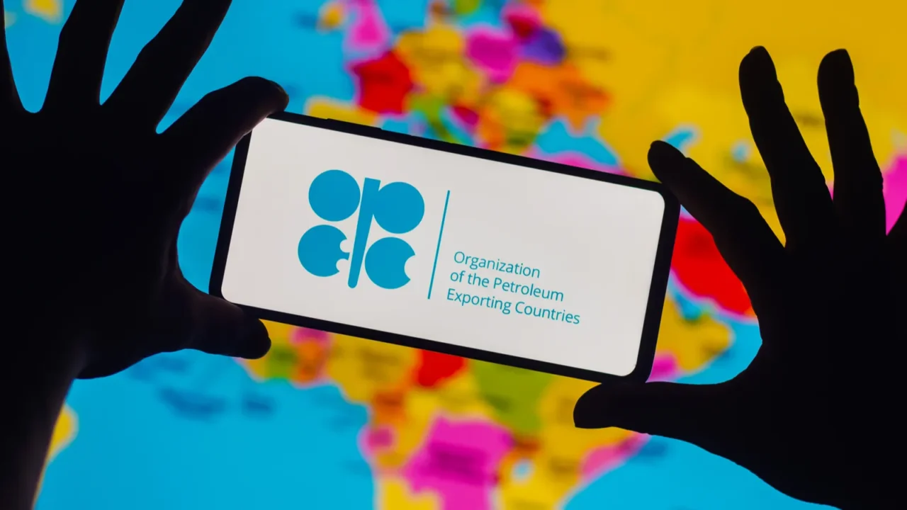 september 27 2022 brazil in this photo illustration the organization