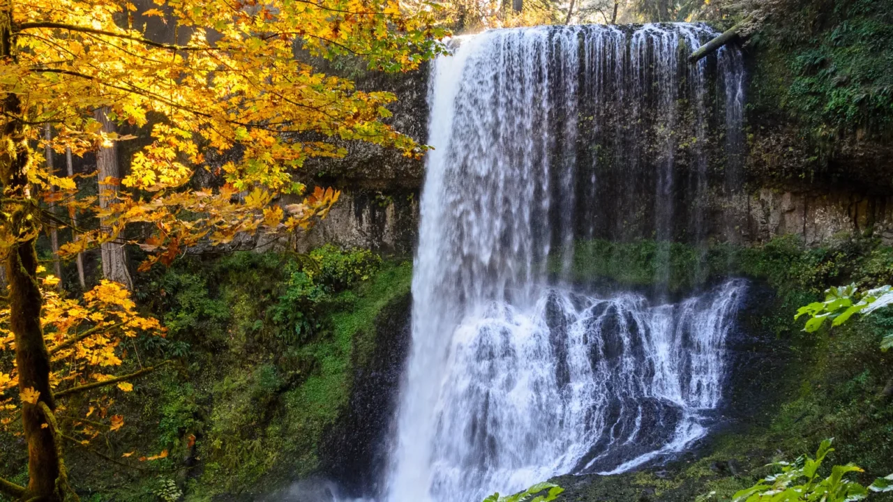 Silver Falls State Park.