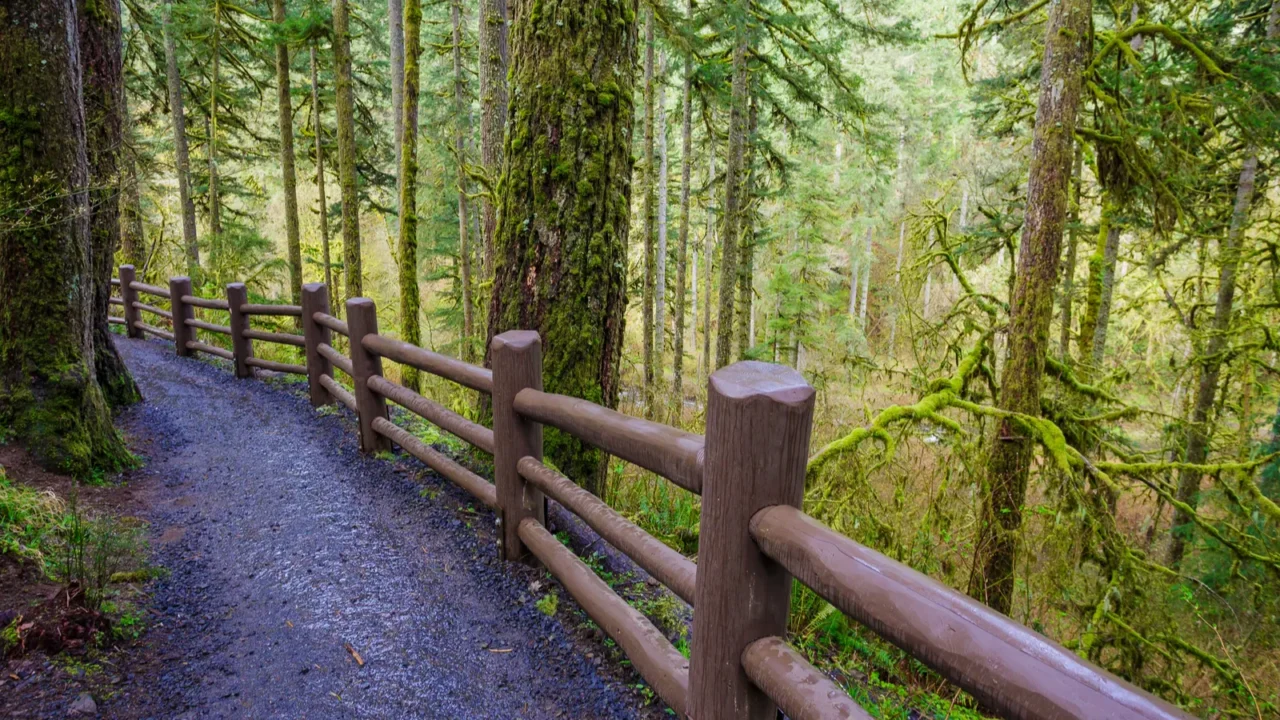 silver falls state park