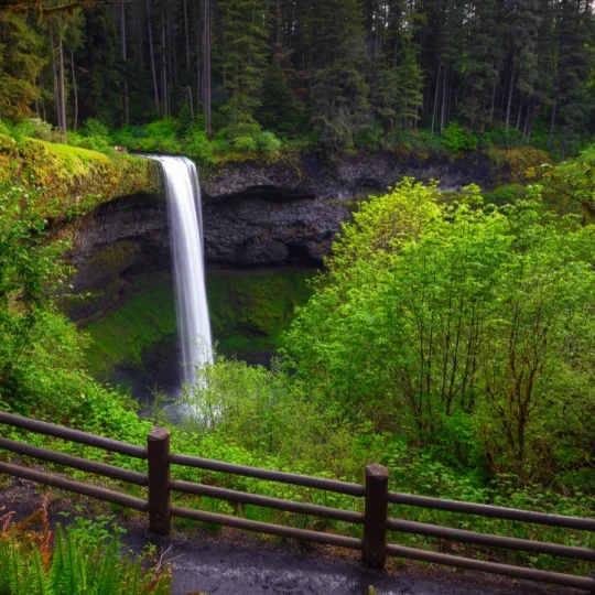 One trail in Oregon’s largest state park takes hikers to 10 waterfalls