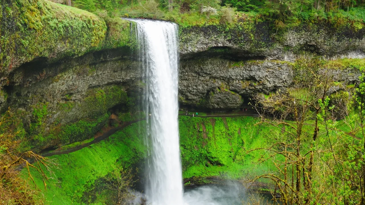 the beautiful view of silver falls