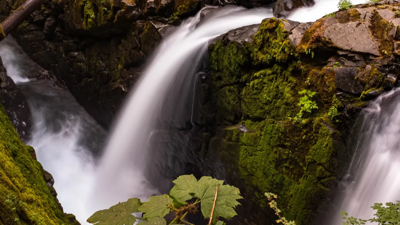 the tumbling waters at sol duc falls olympic national park