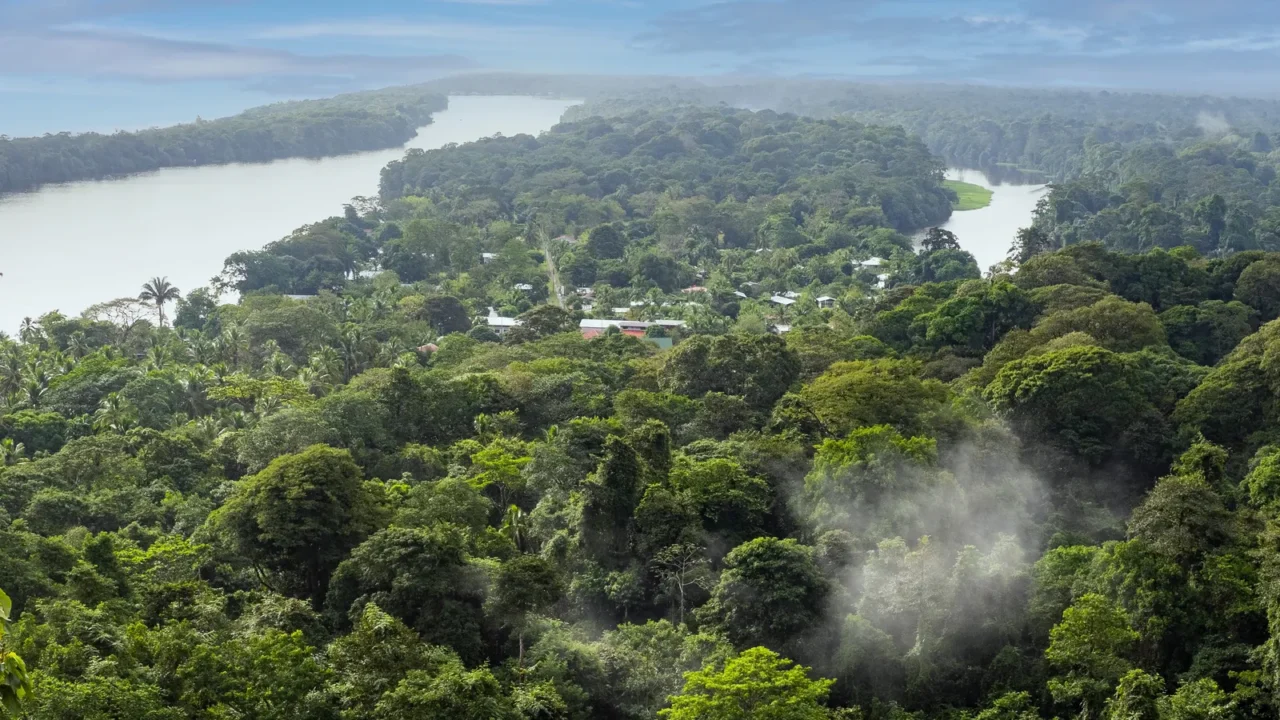 view from above on the watershed of tortuguero river costa
