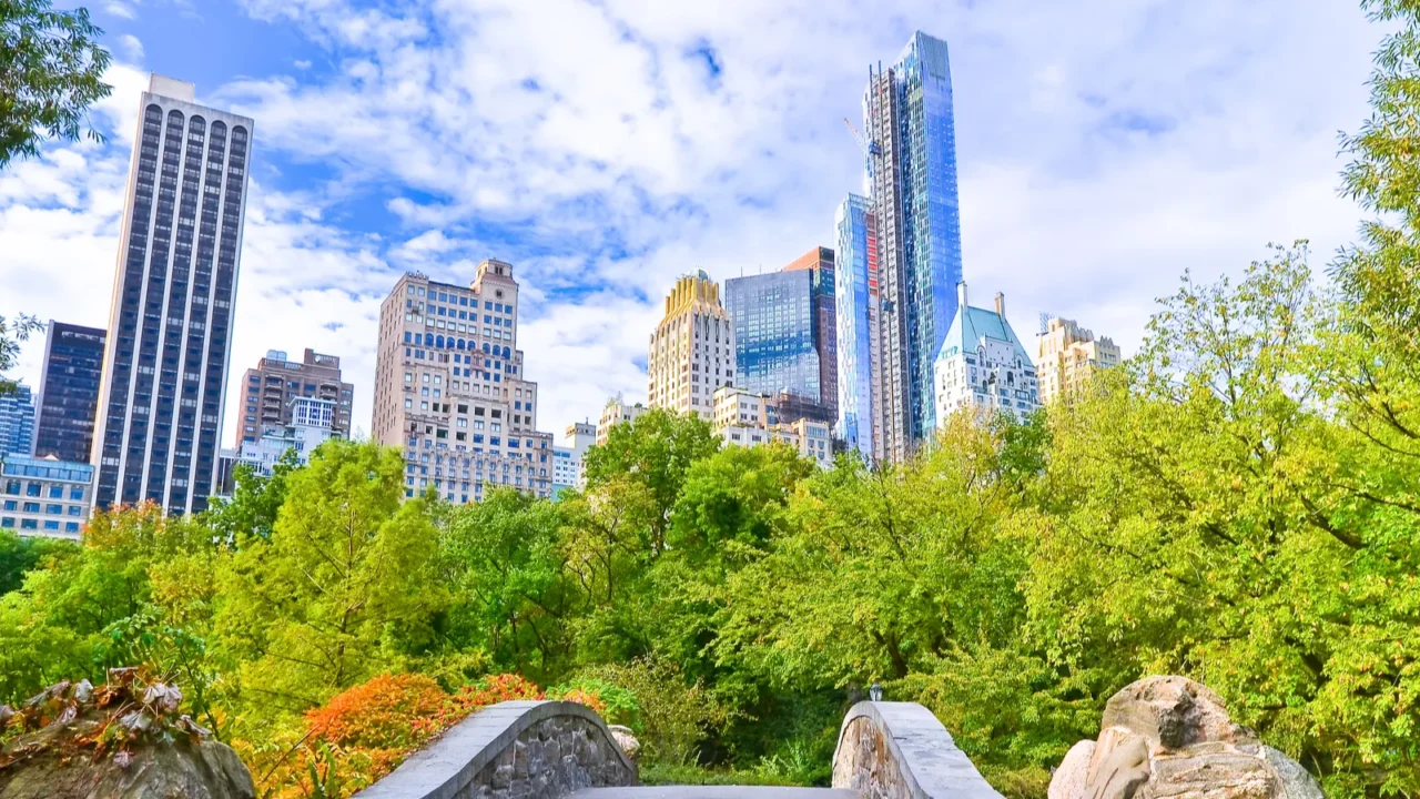 view of central park in new york city in autumn