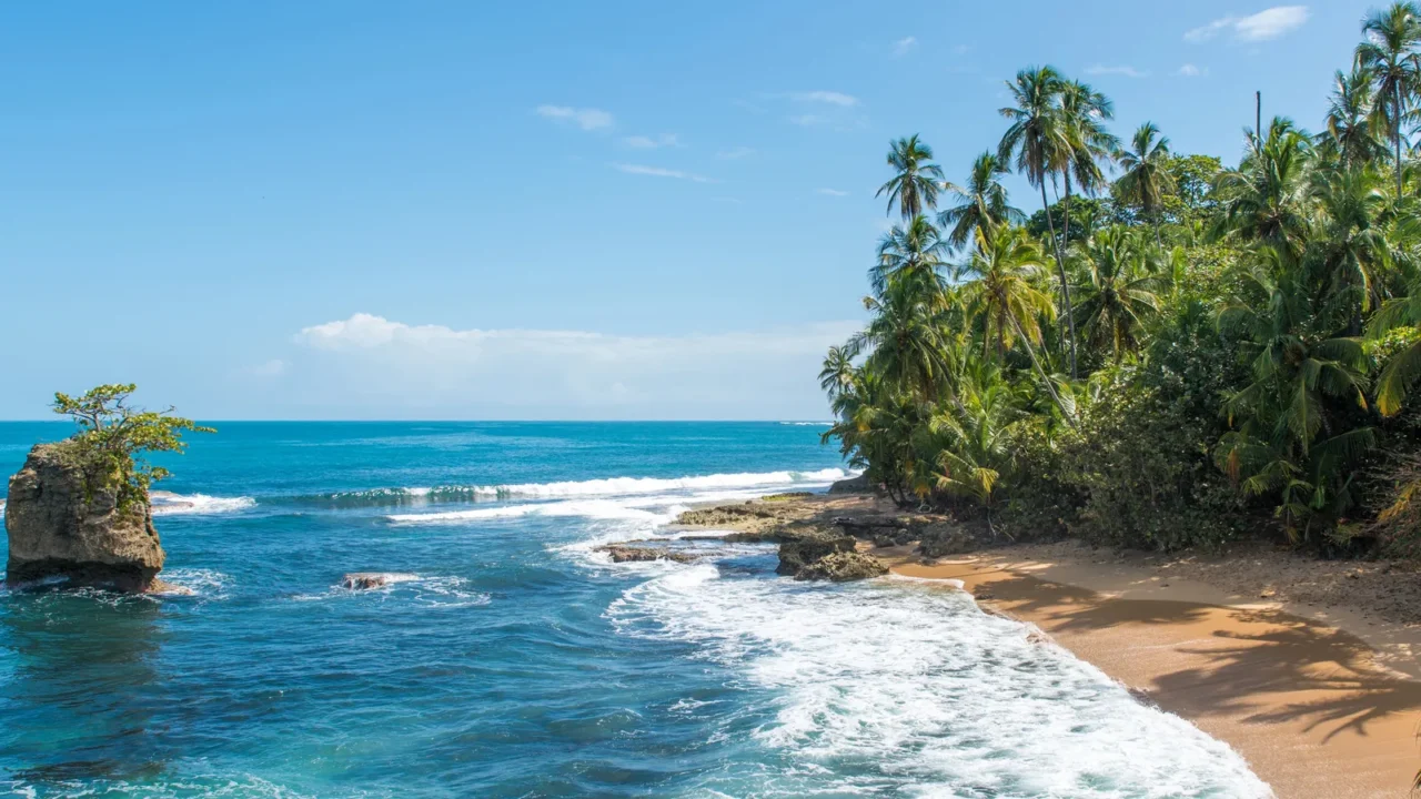 wild caribbean beach of manzanillo at puerto viejo costa rica