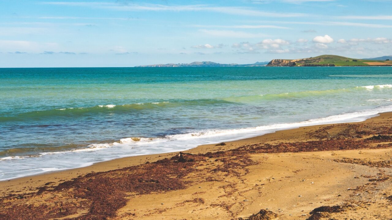 beach ocean calm water sand summer hot day tranquit beautiful new zealand
