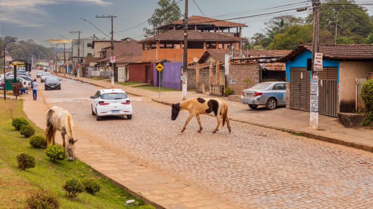 Santa Bárbara - Minas Gerais - Brasil - JUL 01 2022: Horse riding in downtown Santa Barbara